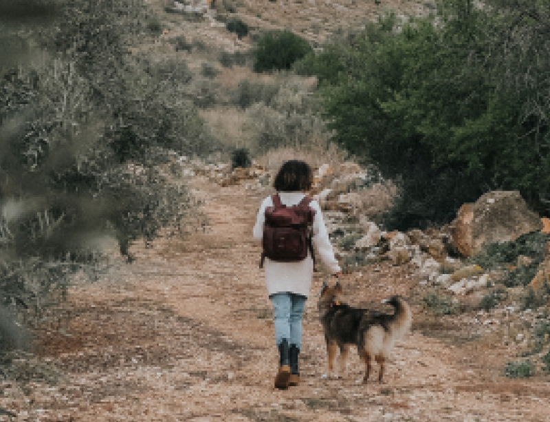 Isi walking with her dog